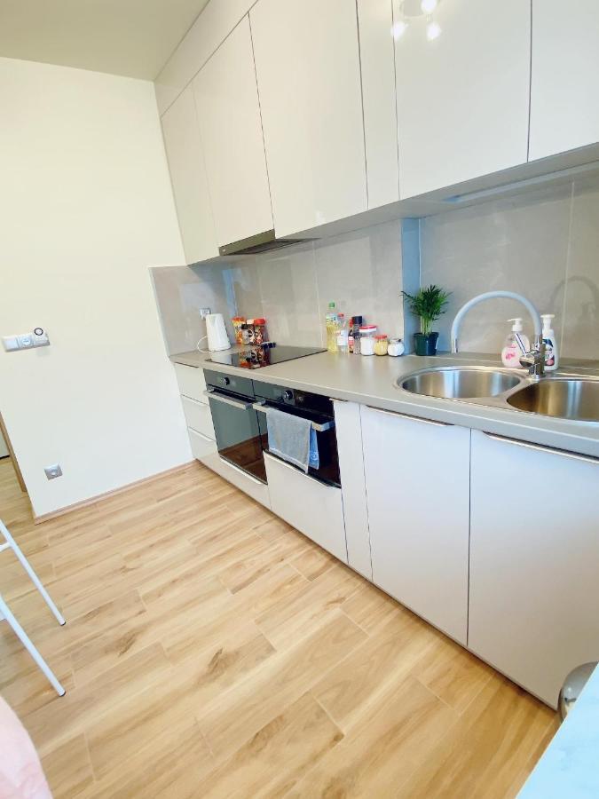 Wiktoria Apartment Warsaw